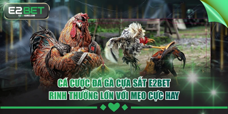 Đá Gà Cựa Sắt E2BET